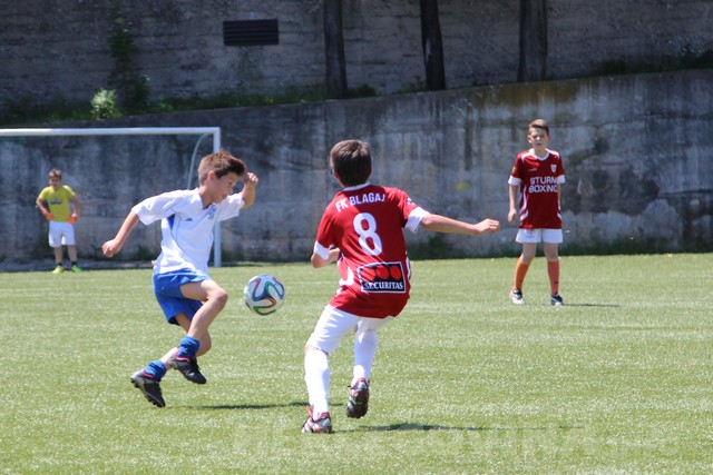 HŠK Zrinjski: Nastavljena ! hej liga