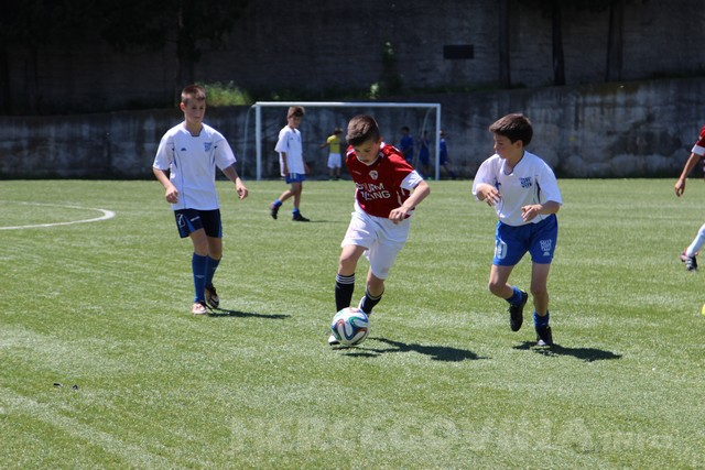 HŠK Zrinjski: Nastavljena ! hej liga