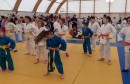 judo neretva