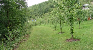 priče iz hercegovine, hodopisi, Dragan Marijanović