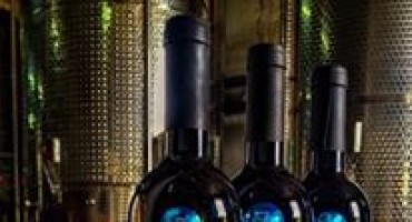 Vina Keža pohvaljena na prestižnom svjetskom natjecanju u Londonu