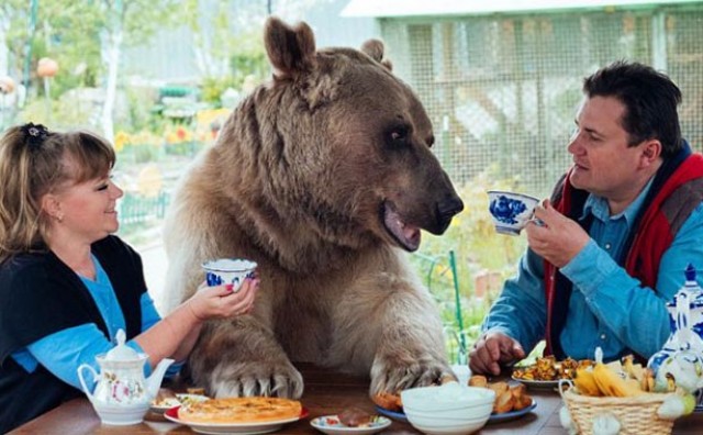 Par živi sa medvjedom teškim 140 kilograma