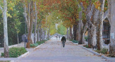 Marin Topić: Mostarski platani kod Stare gimnazije - 04.06.2016