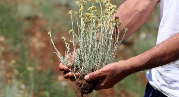 Mobilizacija: Kreću noćne straže u Hercegovini