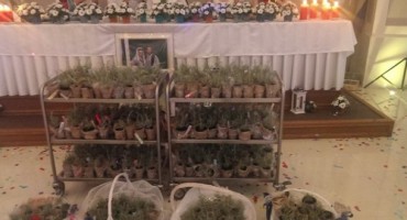 Mladenci u Hercegovini svoje uzvanike darivali sadnicama smilja