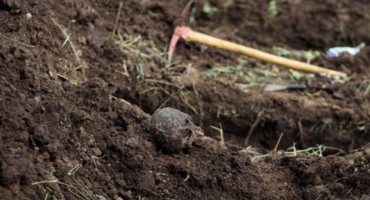 Završena ekshumacija, pronađeni posmrtni ostaci dvije žrtve