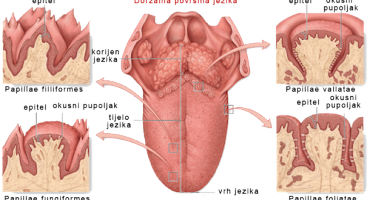 Geografski jezik, Lezije
