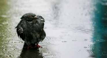 U noći sa utorka na srijedu kiša i snijeg u BiH