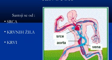 Što je sustav za krvotok? 