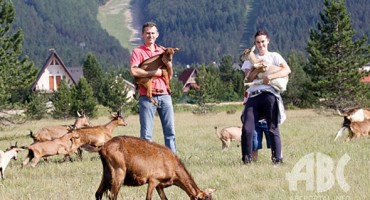 Širokobriježanin i Duvanjka: Ljubavna priča na farmi koza u parku prirode Blidinje
