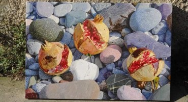 Ekskluzivno: Marin Topić: Šipci i oblutci