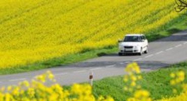 BiH gubi milijune zbog malverzacija s biogorivom