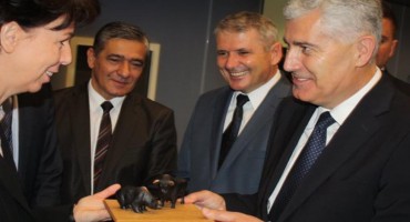 covic u frankfurtu