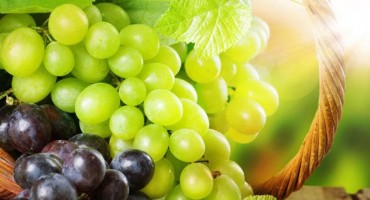 Grožđe – hrana ‘bogova’ za zdravo srce i kosti