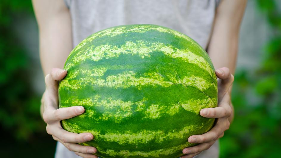 Kad ovo saznate zasigurno nećete tako lako bacati koru lubenice
