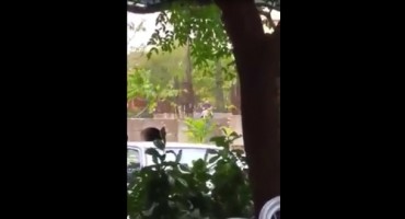 Seks na javnim mjestima u Mostaru: Tko tu koga u gradu na Neretvi