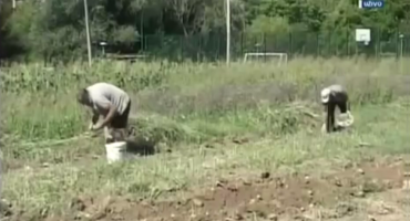 Lakša strana robijanja u Mostaru