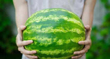 Kad ovo saznate zasigurno nećete tako lako bacati koru lubenice