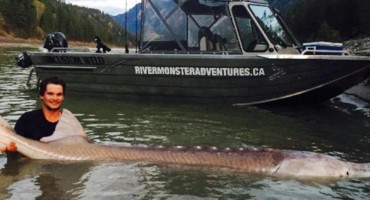 Nakon desetljeća pokušaja su ulovili mitsku neman od 300kg