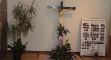 franjevci, hercegovački franjevci, Natječaj