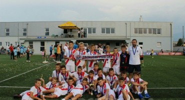 Stadion HŠK Zrinjski, Plemići