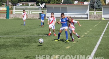 Stadion HŠK Zrinjski, Plemići