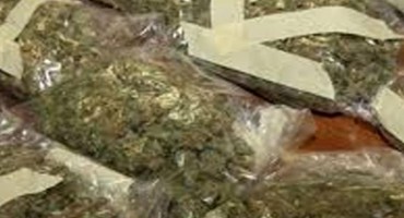 'Pao' sa 105 kilograma marihuane