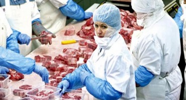 Počinje obilazak domaćih kompanija