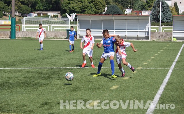 Stadion HŠK Zrinjski, Plemići