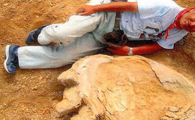 U pustinji Gobi pronađen džinovski otisak stopala titanosaura