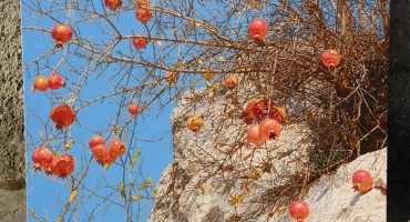 Marin Topić: Šipci iz kamena