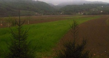 Šveđani odustaju od milijunske investicije?