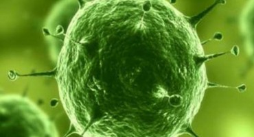 Za ove čudne viruse nema lijeka