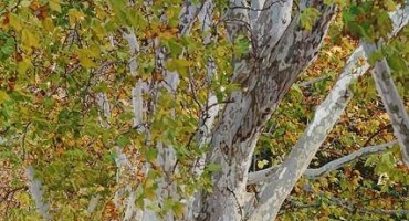 Marin Topić: Šetalište u Mostaru - 21.11.2016