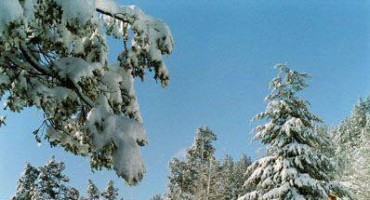 Katarina Zovko Ištuk