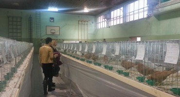 Columba, Ljubuški, Izložba