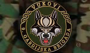 mirko norac, 9. gardijska brigada Vukovi