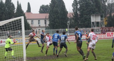 Zrinjski željo