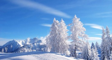 navike, zima, prehlada, zima, prehlada, zima, Hrvatska