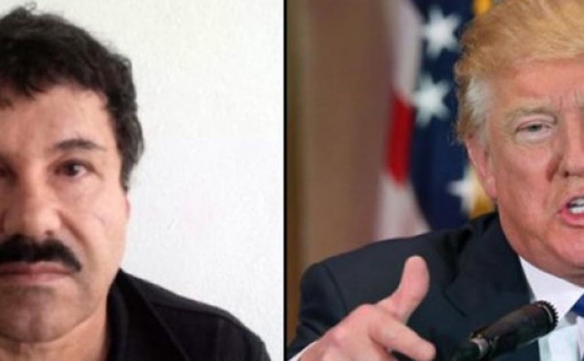 chapo - trump