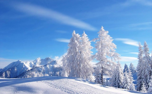 7 navika kojih se treba odreći kako se ne bi prehlađivali zimi 