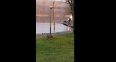 Ludi Bosanci: Mislili ste da ovog ima samo u Rusiji i Finskoj? Ne! Dođite u Bosnu i vidjećete