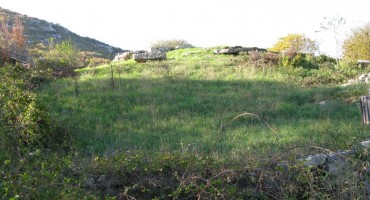 Priče iz Hercegovine: Senzacija na putu zmija