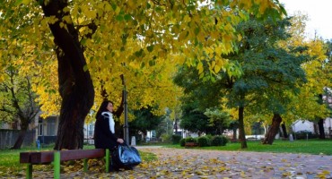aluminij, Galerija Aluminij