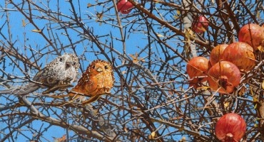 Marin Topić, Marin Topić, Izložba