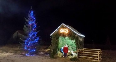 Ljiljana Tolj: Božićni su dani