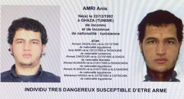 Anis Amri , terorizam
