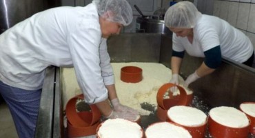 Obitelj Orman: Prerada mlijeka i proizvodnja sira