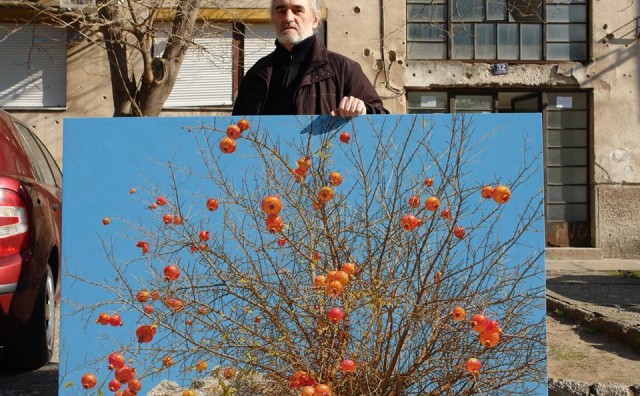 Marin Topić