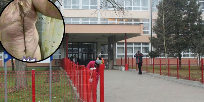 Procurile fotografije golog profesora iz BiH